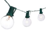 Divine LEDs 25 Clear G40 Bulbs UL Listed Globe String Lights, 25-Feet, Green
