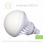 ecoBright 30W (250W) LED Light Bulb