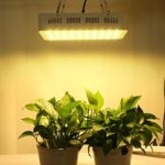 Roleadro 300W LED Plant Grow Light – Full Spectrum, 2nd Generation Series