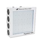 Black Dog LED PhytoMAX 1000 Grow Lights – High Yield – Full Spectrum Indoor Grow Light with BONUS Quick Start Guide