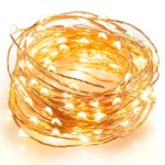 TaoTronics LED String Lights Copper Wire Lights, Waterproof Starry String Lights, Décor Rope Lights For Seasonal Decorative Christmas Holiday, Wedding, Parties(100 Leds, 33 ft, Warm White)