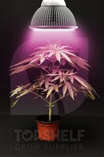 Top Shelf Grows Premium Grow Light – LED Growing Organic Indoor Herbs Garden Plants – Fast Growth – Seeds to Buds Fruit (12W) – Longer Lasting Grow Light