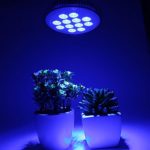 eSavebulbs 24W Led Grow light Bulb,12PCS Blue Leds,E27 Base,Grow Plant Light for Hydropoics Greenhouse Organic AC 85V~265V