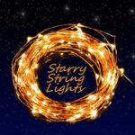Extra Long 40ft 125 LEDs Warm White LED Copper Wire Indoor Outdoor String Lights + Include 6V DC Power Adapter (Single)