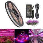 SJP Light®LED Plant Grow Strip Light Kit(Power Adapter Included),Full Spectrum SMD 5050 Red Blue 4:1 Lighting Ribbon For Indoor Aquarium Greenhouse Hydroponic Plants Flower Growing (5M)