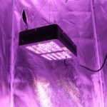 MEIZHI Reflector-Series 300W LED Grow Light Full Spectrum – Growing Lamp Panel for Hydroponics Indoor Greenhouse Plants Veg Flowering Growth