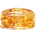 Outdoor Solar Powered String Lights,easyDecor Copper Wire 100 LED 33ft Warm White Waterproof Decorative Christmas Fairy Starry Rope Light for Indoor Party,Patio Decoration,Garden,Holiday,Tree Decor