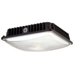 LEDLAND LED Canopy Light (CREE LED COB2530 inside), 65W (175W MH Replacement), 5900 Lumens, 5000K (Daylight White), UL-Listed and DLC-Qualified