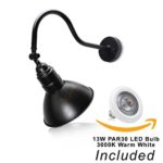 10″ Adjustable Barn Light with 19 3/4″ Gooseneck Arm And 13W PAR30 LED Bulb (3000K Warm White) – (Black LED)