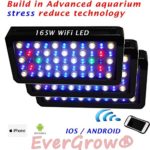 3x EVERGROW Full Spectrum 165W Dimmable Led Aquarium Light Coral Reef Grow Moonlight with WIFI controller for iphone, android phone + FREE hanging kit – One Year Warranty