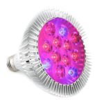 MarsHydro 24W LED Grow Light E26/E27 for Home Organic Bulb RED+BLUE New Style for small plants