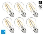 Hyperikon A19 LED Vintage Filament Bulb, Dimmable, 7W (60W Equivalent), 720 lumen, 3000K (Soft White Glow), Omnidirectional, E26 Base, IC Driver, CRI 80+, 120v, UL-Listed – (Pack of 6)