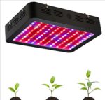 GOWE 1000W Black Double Chips LED Grow Light 410-730nm Full Spectrum LED Grow Lights For Indoor Plants Flowering And Growing