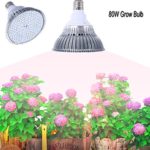 E27 Growing Bulbs,Gianor 80W Led Grow Lights Full Spectrum Light Bulbs 120PCs SMD 5730 Chips Greenhouse Growing and Flowering Lamps for Indoor Garden and Hydroponic Plants(AC 85~265V)
