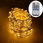 Dreamworth 165ft Led String Lights,500 Led Starry Lights on 50M Silver Coating Copper Wire String Lights + 12V DC Power Adapter + Remote Control(Warm White)