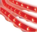 Celebrations Rope Lights 216 Clear Lights 18′ Lead Wire RED