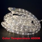 50ft LED Rope Lighting Warm White 2-wire