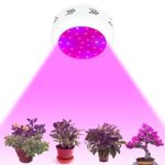 ATOPSUN LED Mini UFO 300w Double Chips LED Grow Light Full Specturm for Greenhouse and Indoor Plant Flowering Growing (10w Leds)