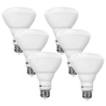 LE 6 Pack 65W Incandescent Bulb Equivalent, 10W Dimmable BR30 LED Bulbs, 750lm, Warm White, 2700K, 110° Flood Beam, E26 Medium Base, LED Indoor Flood Light Bulbs, LED Light Bulbs