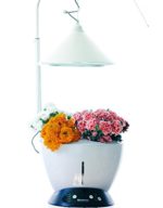 Smarson Indoor LED Light Hydroponic Garden, Grow Herbs, Vegetables and Flowers, Large, White