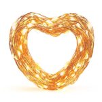 Eufy Starlit String Light, 33 ft Indoor and Outdoor White LED String Lights, IP65 Water-Resistant, Decoration for Christmas Tree, Bedroom, Patio, Holiday, Wedding, and Party ( Copper Wire )