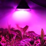 LVJING 36W Led Grow light Bulb for Indoor Plant Growing, LED Lamp for Organic Hydroponic Mini Greenhouse System Grow Tent Garden Veg and Flower, E26 / E27 Socket, 58pcs 2835 SMD Chips­