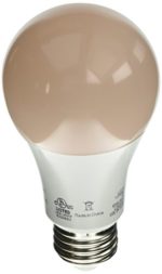 Lighting Science LS A19 60WE SLP 120 G1 BX Good Night LED Household Light Bulbs