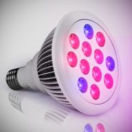 Using LED Grow Lights for Indoor Gardening