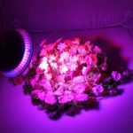 HHE New 15w LED Grow Lights for Flower Plant Hydroponics System-E27(par 38)