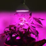 Eachbid 72LED E27 Led Grow light Bulb ,Grow Plant Light Bulbs for Office, Home,Indoor Garden Greenhouse and Hydroponic Plants