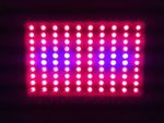 New Anjeet 600W 300W LED Panel Grow Light Hydroponic System Full Spectrum For Indoor Plant Veg and Flower Replace HPS Lamp (300W)