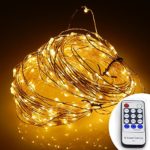 ER CHEN(TM) 99ft Led String Lights,300 Led Starry Lights on 30M Silver Coating Copper Wire String Lights + 12V DC Power Adapter + Remote Control(Warm White)