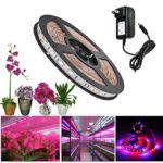 ALight House LED Plant Grow Strip Light 3.3feet Full Spectrum SMD 5050 Red Blue 4:1 Rope Light with Power Adapter for Greenhouse Hydroponic Plant (1M)