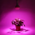 Coidak CO814 34W E26 LED Grow Light Bulb, Grow Plant Light for Hydroponics Greenhouse Organic Indoor Plants