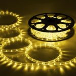 DELight 50ft Warm White 2 Wire LED Rope Light Outdoor Home Holiday Valentines Party Restaurant Cafe Decor