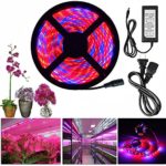 ALight House LED Plant Grow Strip Light 13.1ft Full Spectrum SMD 5050 Red Blue 4:1 Rope Light with Power Adapter for Greenhouse Hydroponic Plant (4M)