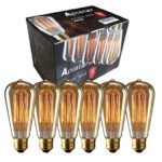 NEW Edison Vintage Bulbs – 6 pack – Aplstar Bulbs – 60W Incandescent – Clear Glass – ST64 Squirrel Cage – Dimmable