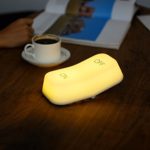 Mini LED Night Light, ON/OFF Gravity Switch Lamp, Rechargeable Warm White Lights for Bedroom, Bathroom, Office, Best Gift for Kids Friend and Family