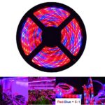 iNextStation LED Plant Grow Strip Light 16.4ft 5M Full Spectrum SMD 5050 Red Blue 5:1 Rope Light for Greenhouse Hydroponic Plant (Red:Blue=5:1)