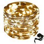 CrazyFire 33ft/10m Copper Starry String Light, 100 LED Indoor Fairy Rope Light Flexible DIY Decorative Light with DC Power Adapter for Christmas Halloween Party Wedding Bedroom Decor-Warm White Light