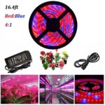 ABelle LED Strip Light Plant Grow Light 16.4ft 5050 SMD Waterproof Full Spectrum Red Blue 4:1 Growing Lamp for Aquarium Greenhouse Hydroponic Plant Garden Flowers (5M)