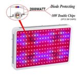 Gianor 2000W Led Grow Light Full Spectrum 200x10W Double Chips Grow Lights for Hydroponics/Greenhouse Plants Growing/Flowering