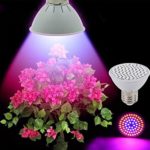 [Pack of 4] RAYWAY LED Grow Light bulb, 72 leds Full Spectrum High Efficient Hydroponic Plant Grow Lights for Garden Greenhouse and Hydroponic Aquatic