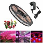 Topled Light LED Plant Grow Strip Light with Power Adapter,Full Spectrum SMD 5050 Red Blue 4:1 Rope Light for Aquarium Greenhouse Hydroponic Pant Garden Flowers Veg Grow Light (2M)