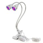 2017 New Dual Head Led Grow Light, Ppunson 10W Desk Clip Lamp with 360 Degree Flexible Gooseneck and Double on/off Switch for Indoor Plants Greenhouse Office (10w Dual head)