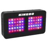 KINGBO Dual Optical Lens-Series 300W LED Grow Light Full Spectrum for Indoor Plants VEG and Bloom（Two Switch, 12-Bands）