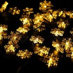 Crystal Snowflake Outdoor String Lights for Christmas, Wedding, Party, Holiday Decors(15.7 Feet, 20LED, Warm white)