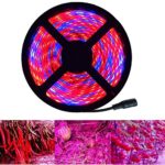 ALight House LED Plant Grow Strip Light,Full Spectrum SMD 5050 Red Blue 4:1 / 5:1 Rope Light with Power Adapter for Greenhouse Hydroponic Pant (5:1 5M)