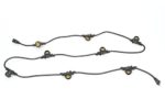 String Light Cord with 15-inch Socket Spacing and 8 Medium-Base Sockets (E26), 10 Foot, Black. Ideal for LED Grow Light Bulbs.