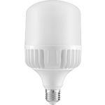 40W LED Standard E26 Base—With FREE E39 Base Converter—Commercial Retrofit Light Bulb, 4500 Lumens, 5000K (Daylight), 125w HID/MH Replacement, AC100~277V